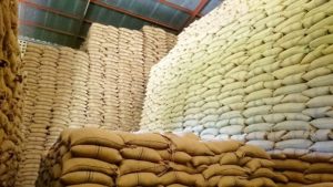 Maize-1024x576-1-696x392-1-1