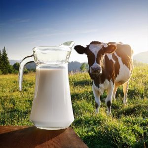 freshmilk_4c782fa0-0ba2-4eab-81c3-21707b7b9819