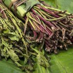 DCEA seizes speedboat smuggling 18 sacks of khat from neighboring Kenya