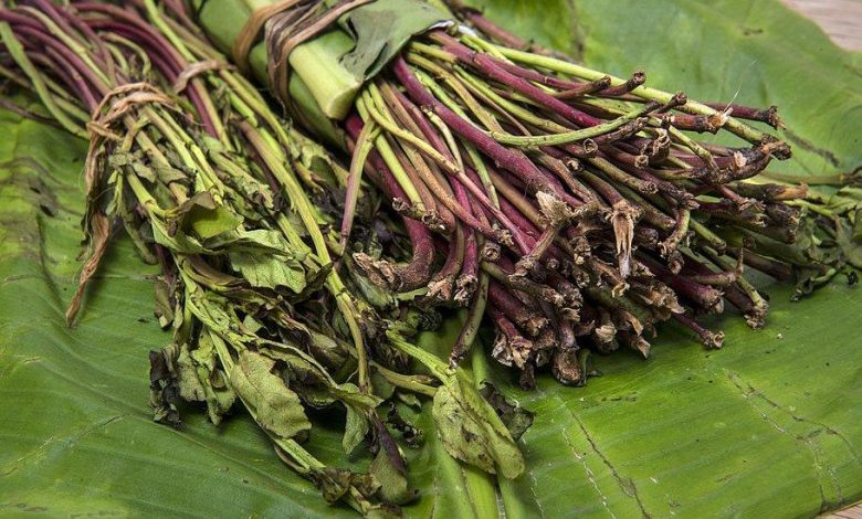 DCEA seizes speedboat smuggling 18 sacks of khat from neighboring Kenya