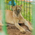 President Samia commended for promoting sustainable conservation