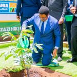 TFS tree planting campaign gains strong momentum in southern Tanzania