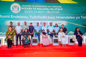 Tanzania launches B2B platform to boost investment and enhance value of forest resources across the country