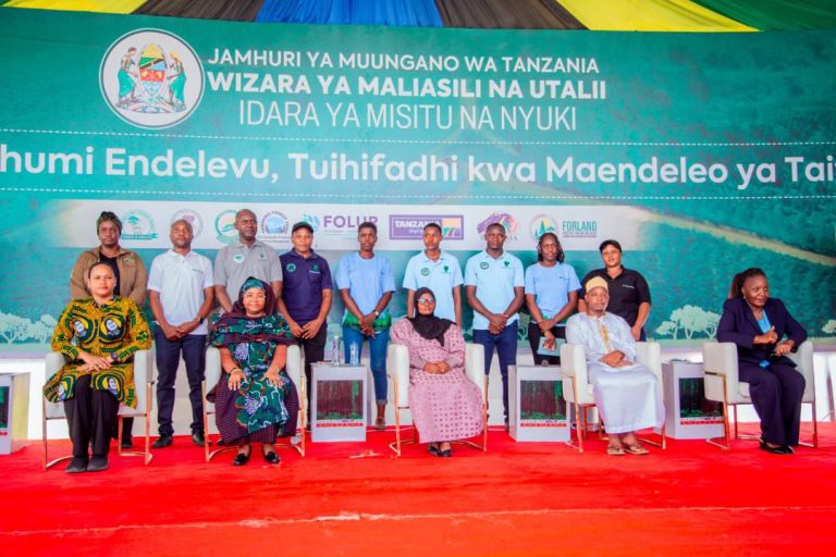 Tanzania launches B2B platform to boost investment and enhance value of forest resources across the country