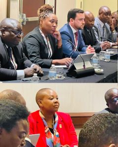 Tanzania announces USD 12.9 billion energy investment opportunities