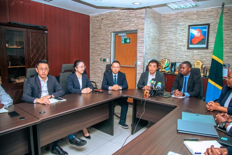 Hongwang’s $3 Billion Deal Marks Tanzania’s Push to Attract Major Foreign Investment in Africa