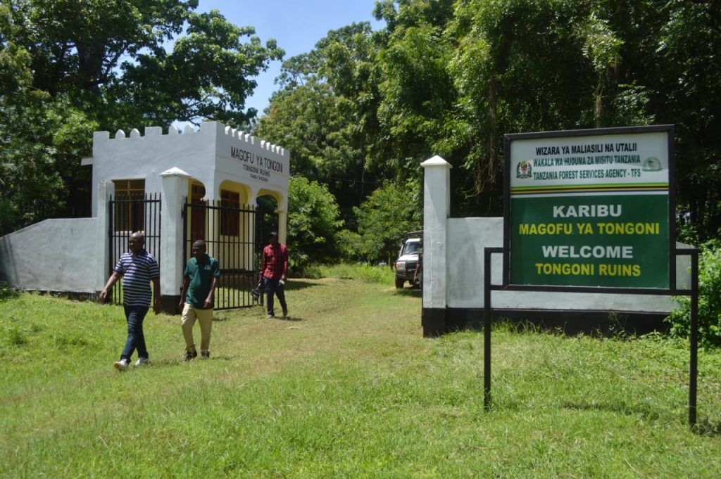 The Untold Story: How TFS facelifts Tongoni Ruins to restore its historical heritage site