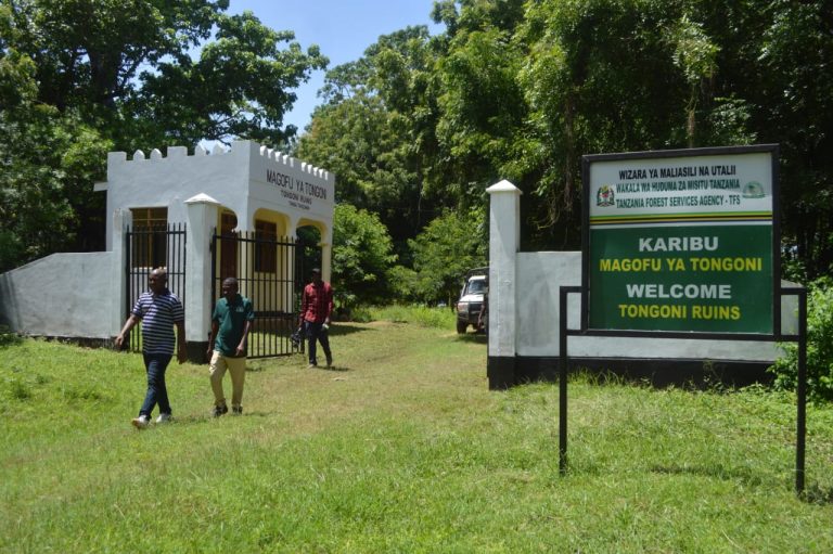 The Untold Story: How TFS facelifts Tongoni Ruins to restore its historical heritage site