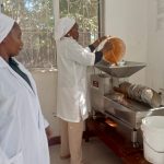 Tanzania to tap 253 million/- from the central zone’s apicultural industry