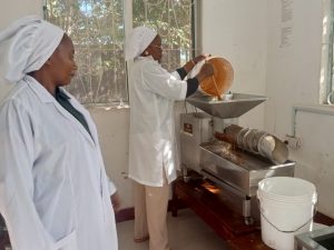 Tanzania to tap 253 million/- from the central zone’s apicultural industry