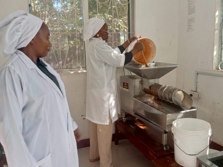 Tanzania to tap 253 million/- from the central zone’s apicultural industry