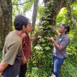 AMANI: The forest placing Tanzania on global ecological map