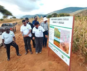 Tanzania’s Livestock sector gaps continue to hinder growth, deed supply