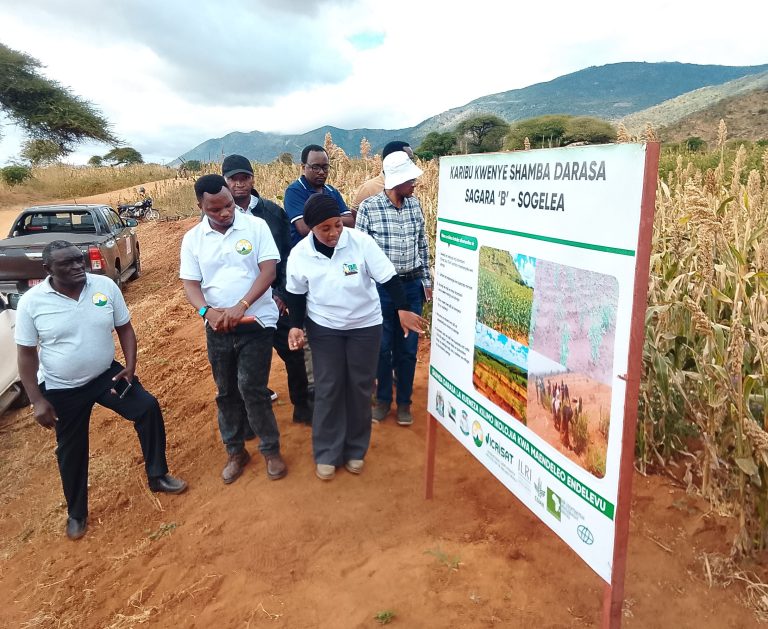 Tanzania’s Livestock sector gaps continue to hinder growth, deed supply