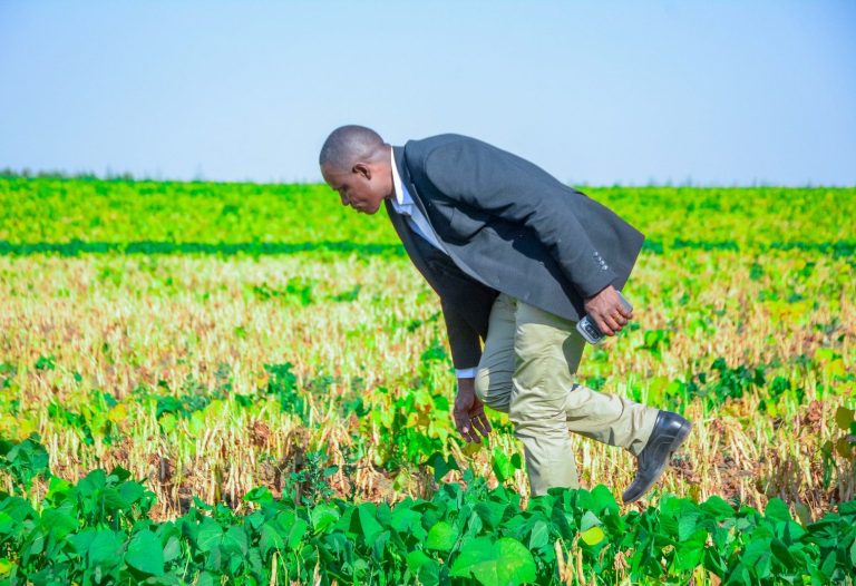 ASA Unveils Modernisation Drive To Boost Quality Seed Production