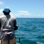 Tanzania to introduce international fishing certification program to boost blue economy  
