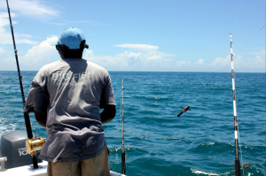 Tanzania to introduce international fishing certification program to boost blue economy  