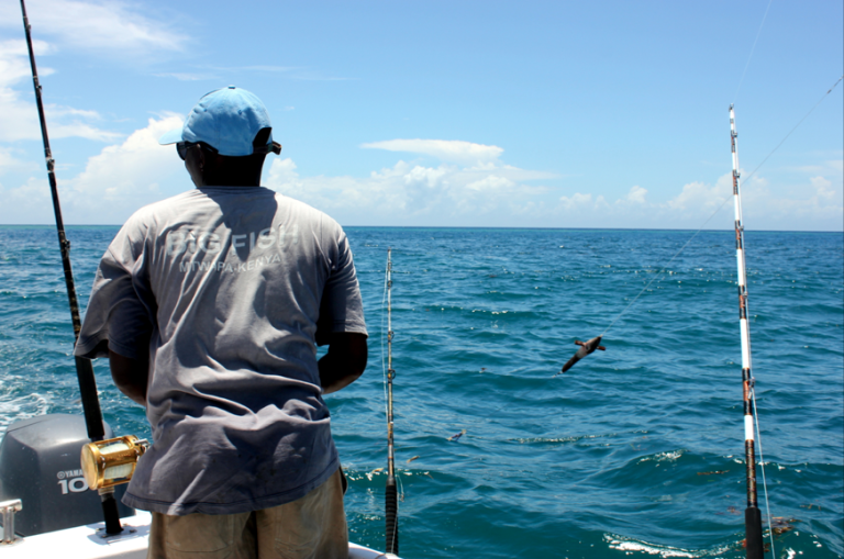 Tanzania to introduce international fishing certification program to boost blue economy  