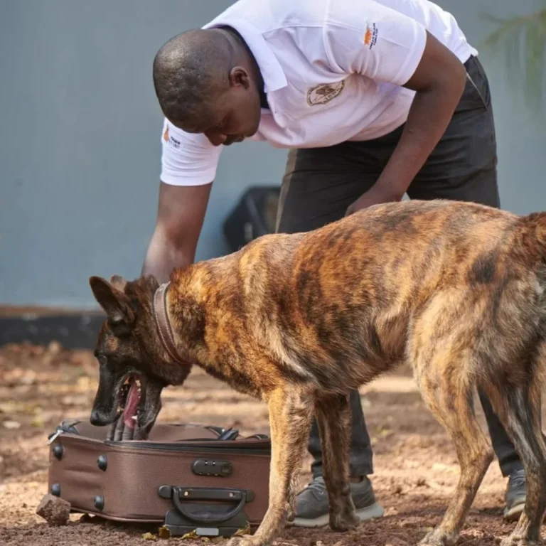 Shirika-la-Kimataifa-la-African-Wildlife-Foundation-AWF-limeikabidhi-rasmi-Mamlaka-ya-Usimami-768x768