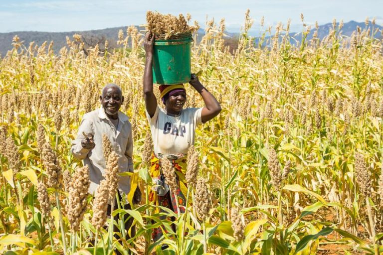 Fourteen countries confirm participation as Dodoma gears up for International Nane Nane 2026 Agricultural Show