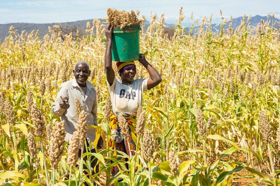 Fourteen countries confirm participation as Dodoma gears up for International Nane Nane 2026 Agricultural Show