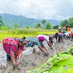 Tanzania ranks among top performers in World Bank agricultural programs