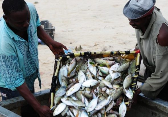 Ulega-to-ensure-interest-free-loans-benefit-fishery-780x470
