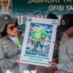 Malecela roots for national peace, stability to boost tourism 