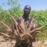 FROM SEED TO MARKET: How a learning mission is transforming cassava seed enterprises in Tanzania