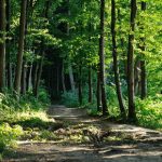 Tanzania Forest Services Agency Obtains 1.2bn/- Tools In EU, WWF Value Chain Drive