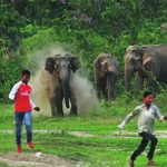 Government compensates 343 Msimbo residents affected by wildlife attacks