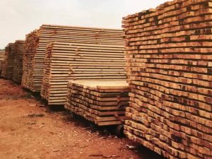 TFS Launches 2026/27 Registration and Licensing Exercise for Forest Products Traders