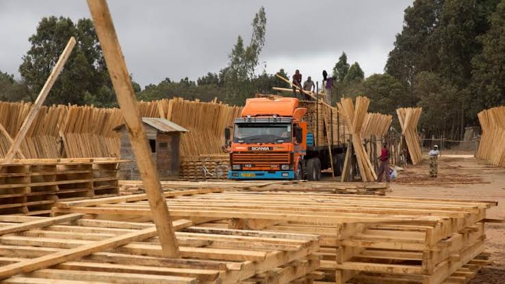 Tanzania forest sector sees significant surge in forest products exportation