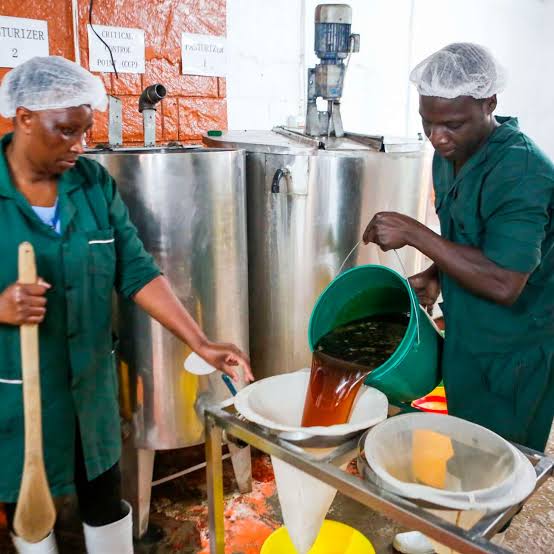 FAO bankrolls funds for construction of modern honey processing factory in Kaliua