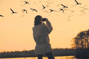International avid birdwatchers urge Tanzania to boost birdwatching tourism