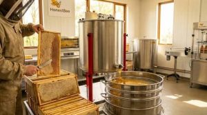 TFS to erect new bee products processing factory in Manyoni district, Singida Region 