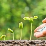 Fertilizer Firm Adopts Local Blending, Targets Soil-Specific Production