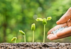 Fertilizer Firm Adopts Local Blending, Targets Soil-Specific Production