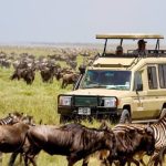 Italian airline opens new gateway to Northern Tanzania’s iconic safari circuit