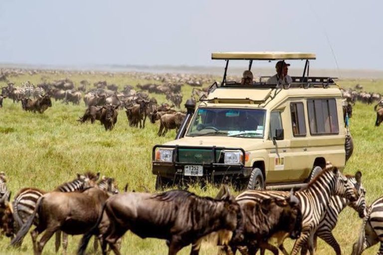 Italian airline opens new gateway to Northern Tanzania’s iconic safari circuit