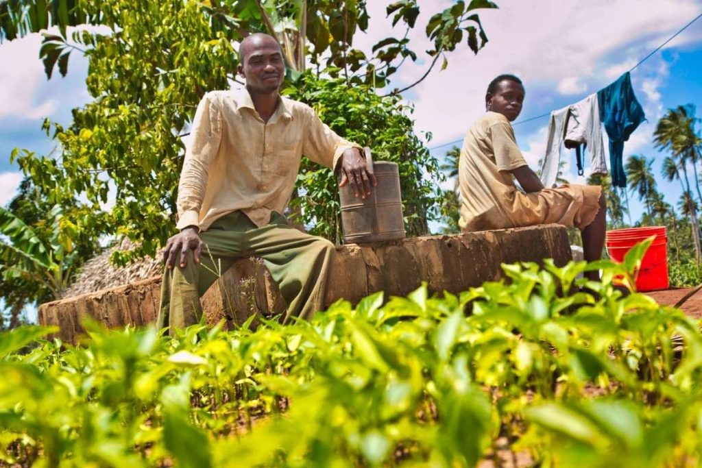 Tanzania works to transform the agriculture sector to boost production, unlocking more jobs 